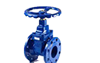 Gate valves